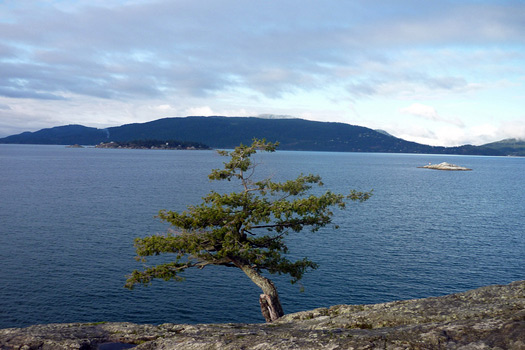 Deniz Feneri Parkı’ndan görüntü, Batı Vancouver.