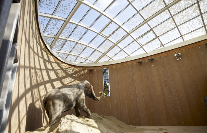 Kopenhag hayvanat bahçesindeki fil evi. 