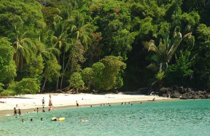 Kosta Rika, Playa Manuel Antonio'da keyif yapan ve yüzen ufak bir kalabalık.