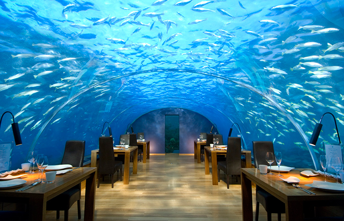 Dünyanın su altı harikaları- Maldivler’de su altındaki Ithaa Restaurant’ta şarap ve akşam yemeği.