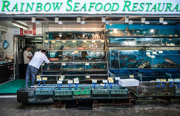 Hong Kong’un efsanevi Rainbow Deniz Ürünleri Restoranı’nın önündeki taze balıklar.