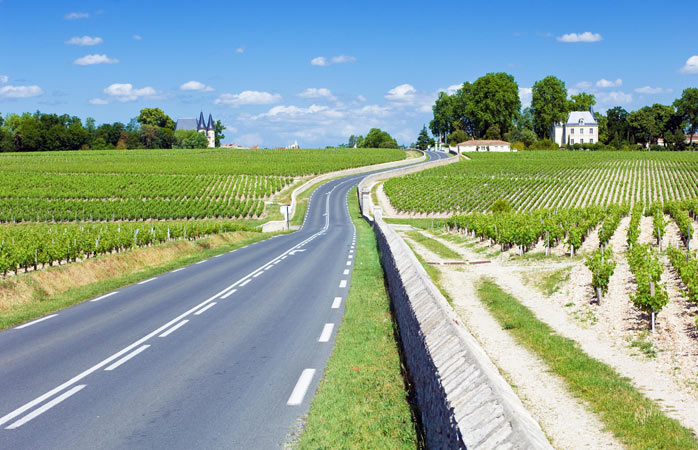 Şarap bölgesi Médoc’taki Château La Gravière’e giderken sıra sıra dizilmiş üzüm bağlarının arasından geçeceksin