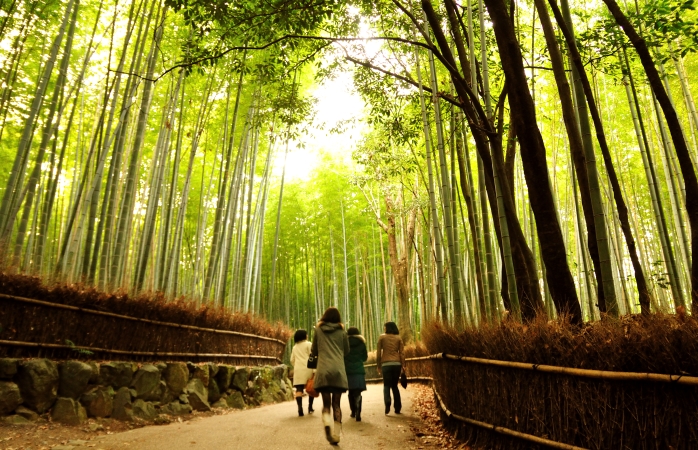 Noel tatili- Arashiyama Bambu Korusu