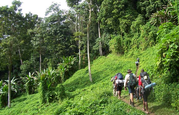 Yürüyüş gezileri- Papua Yeni Gine ormanlarının içlerindeki Kokoda Trail’ı takip eden yürüyüşçüler