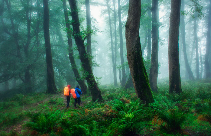 Gilan’ın Fuman şehrinde Fusheh ormanını keşfeden sırt çantalı gezginler © Morteza Esfandiar