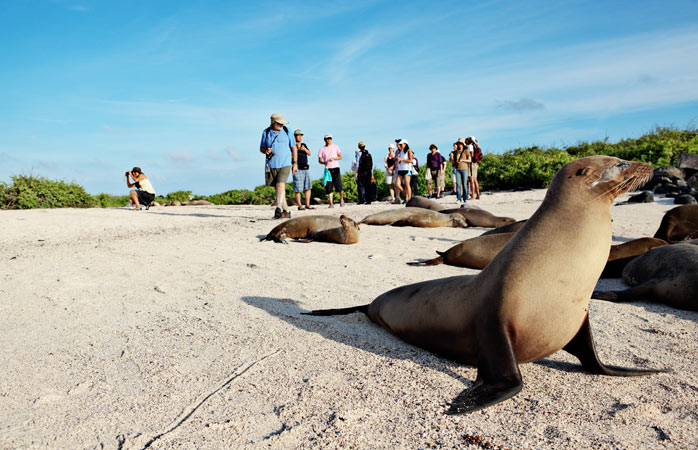 Dünyanın en ücra yerleri- Floreana’daki deniz aslanları için ziyaretçilerle, fotoğraf çekimleriyle geçen sıradan bir gün