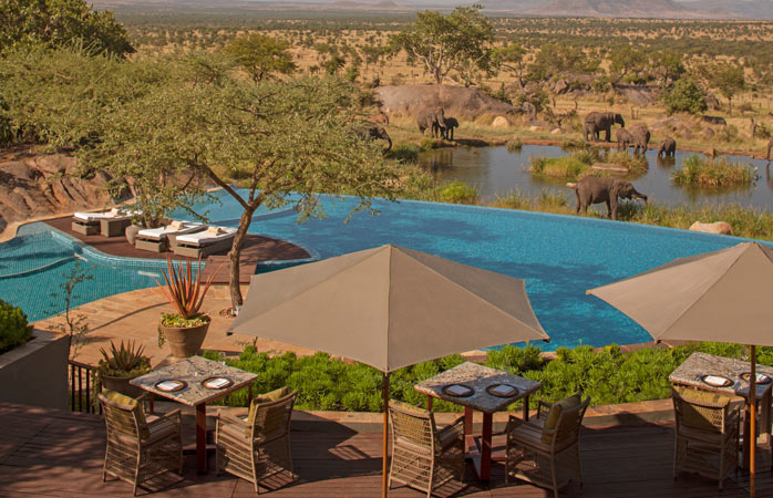 Serengeti-Serena-Lodge-yuzme-havuzlu-oteller-sonsuzluk-yuzme-havuzu