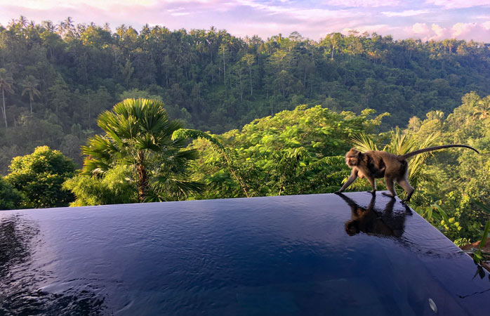Ayrıcalık demek, Hanging Gardens of Bali’de hem kendi havuzunun, hem kendi manzaranın olması demek