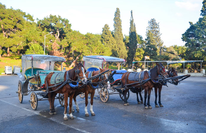 Motorlu taşıtlara veda et çünkü Marmara Denizi’ndeki bu rüstik adalarda ana ulaşım yöntemi hala atlar