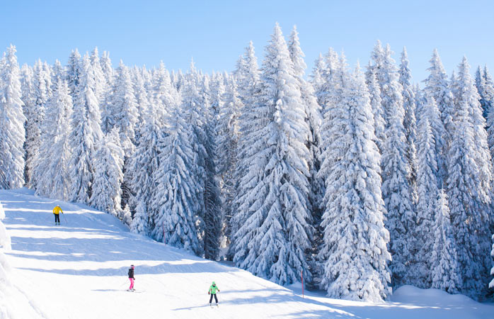 Kartpostallardakini andıran karlarla kaplı ağaçlarla çevrili Kopanik’te kayak yapanlar