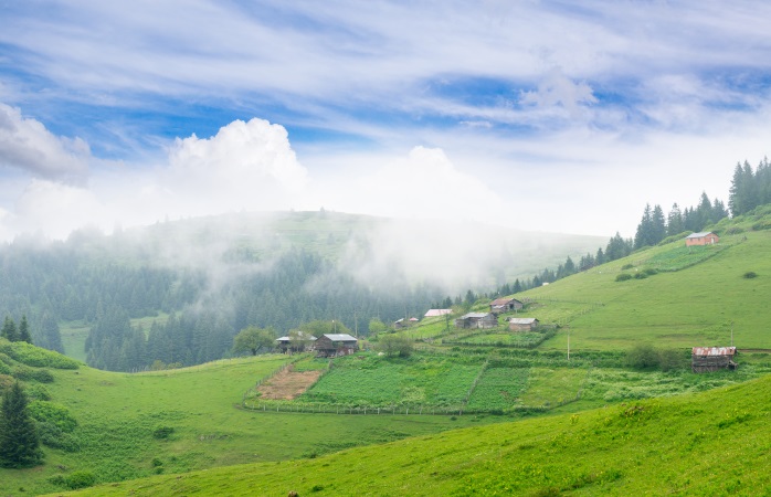 Yayla Tatili: Stresten Uzak, Huzurlu Bir Yaz Tatili Alternatifi