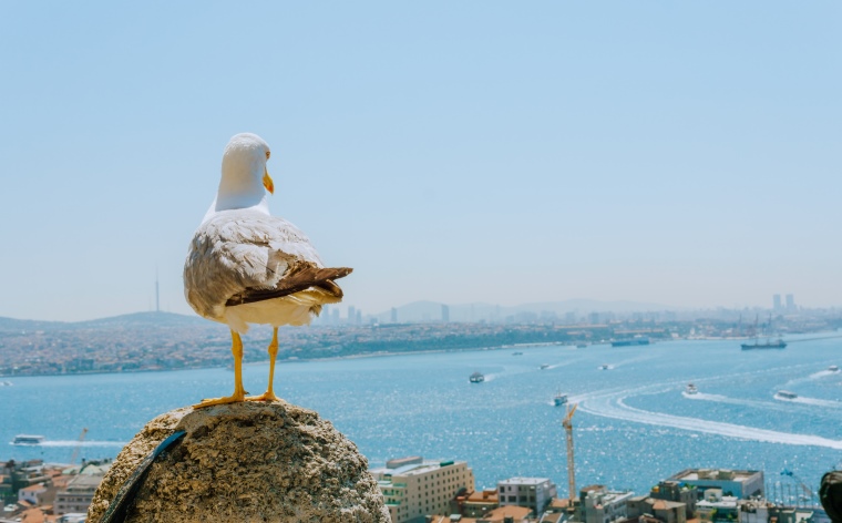 İstanbul’da nerede kalınır? İstanbul konaklama önerileri