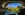 preload