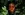 preload