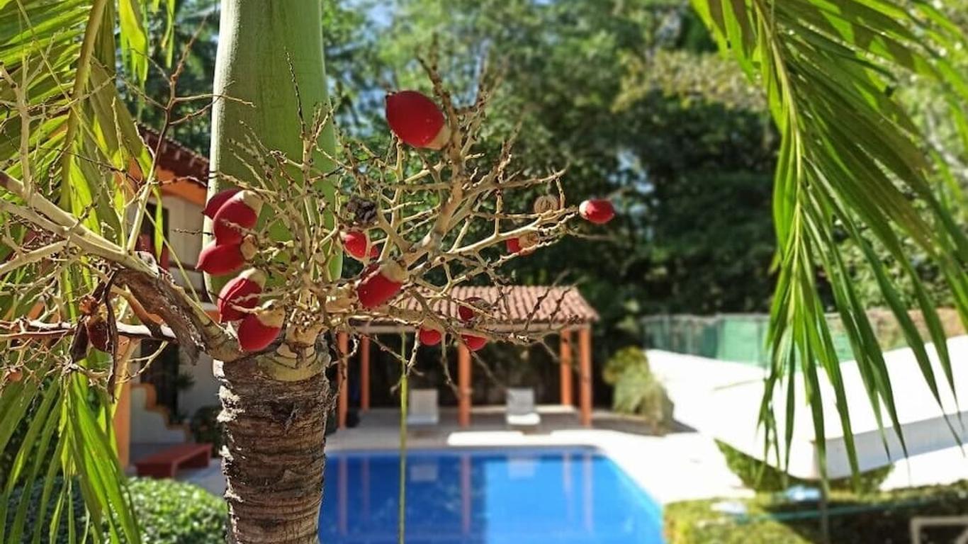 Ana fotoğraf
