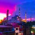 Dış görünüm