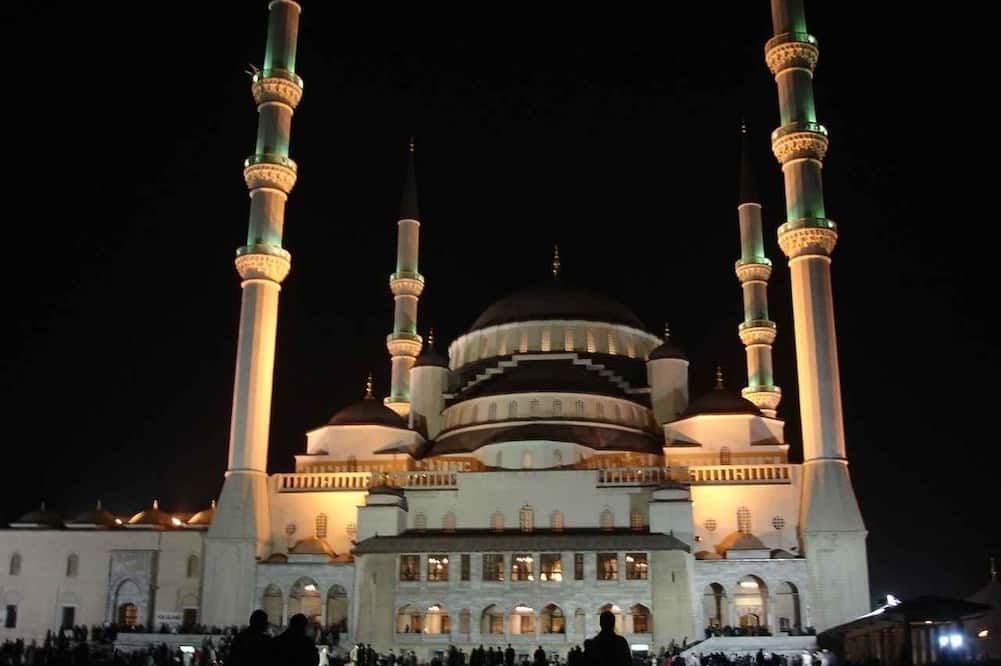Diğer