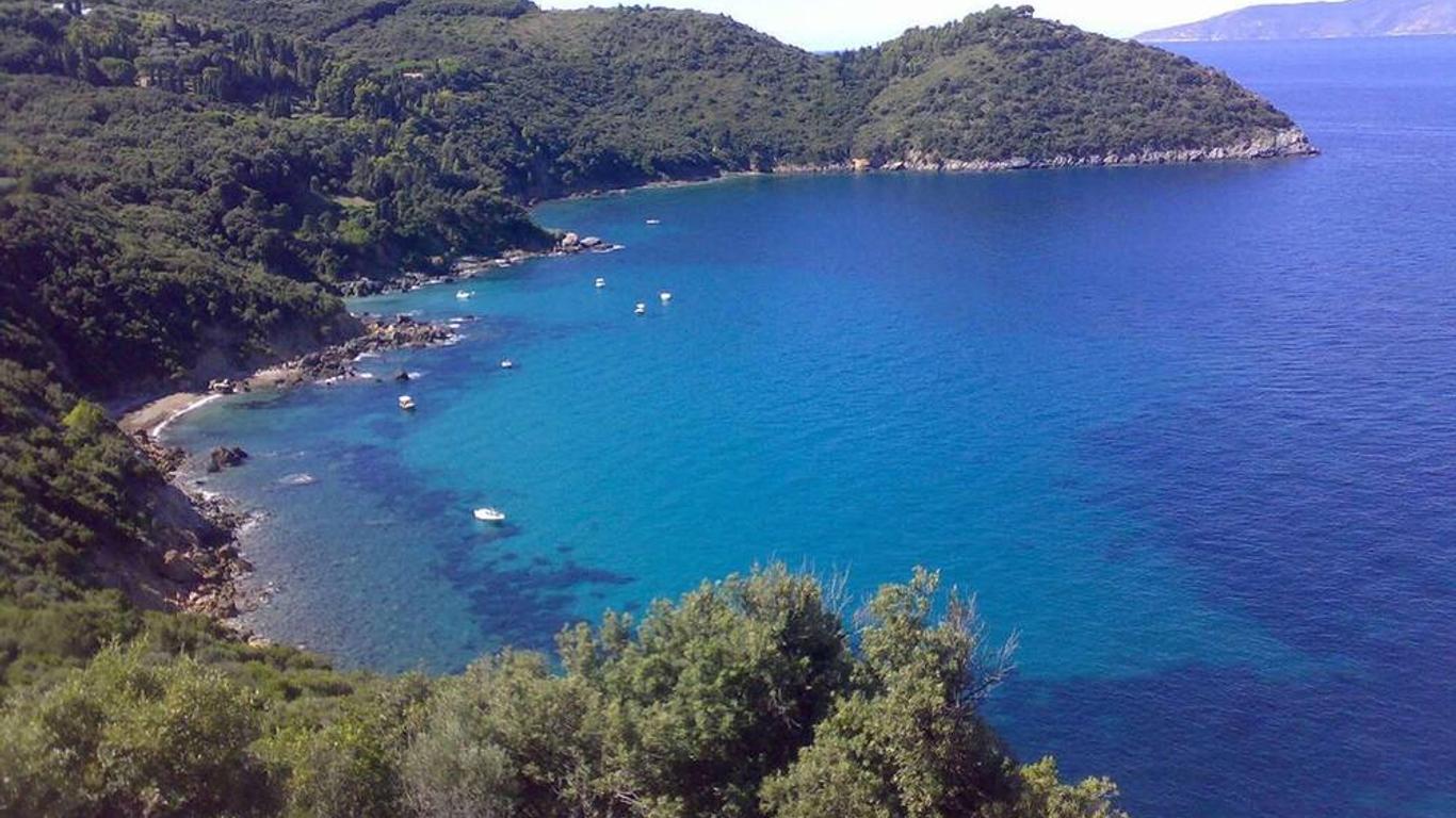 Ana fotoğraf