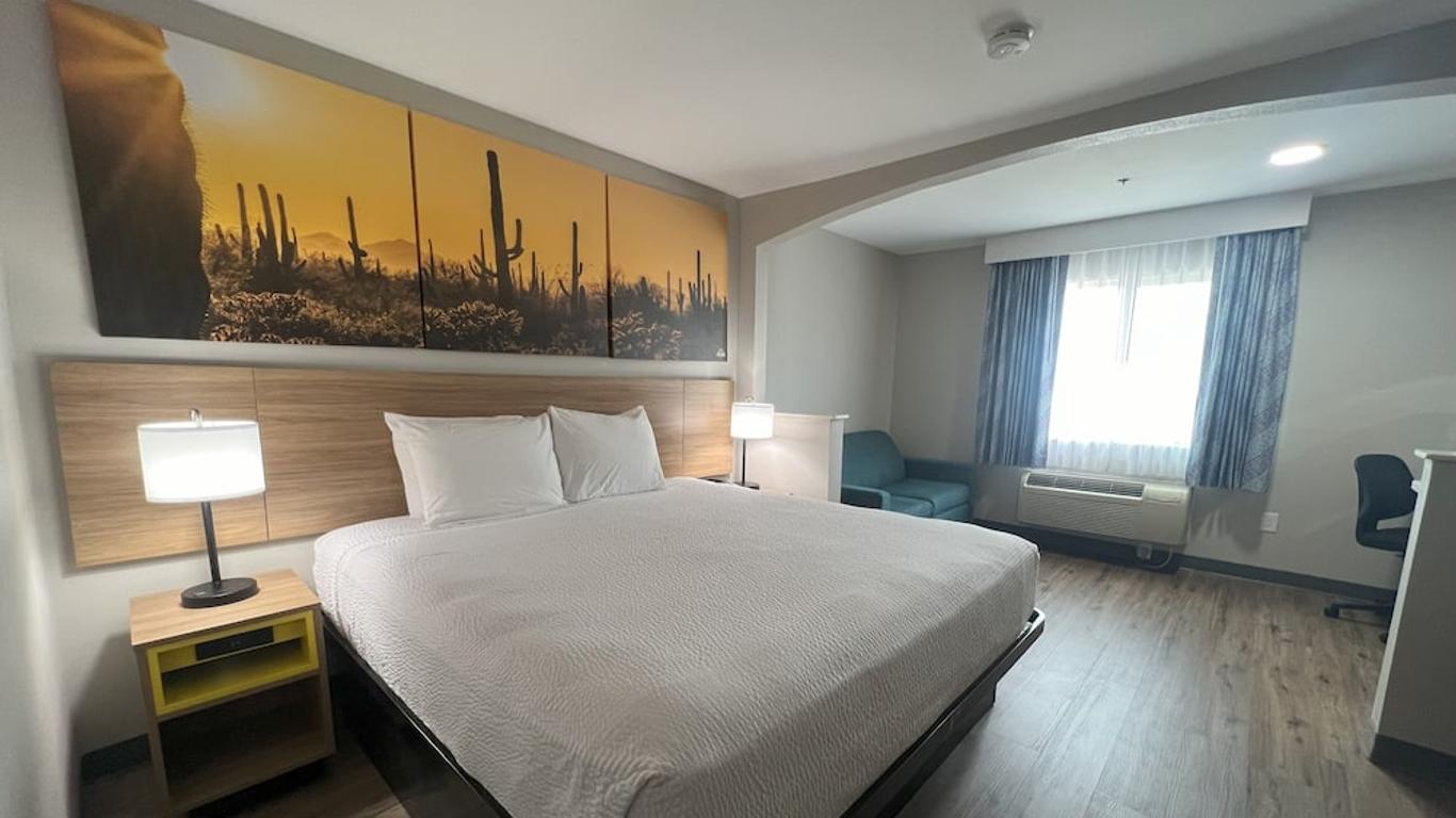 Ana fotoğraf