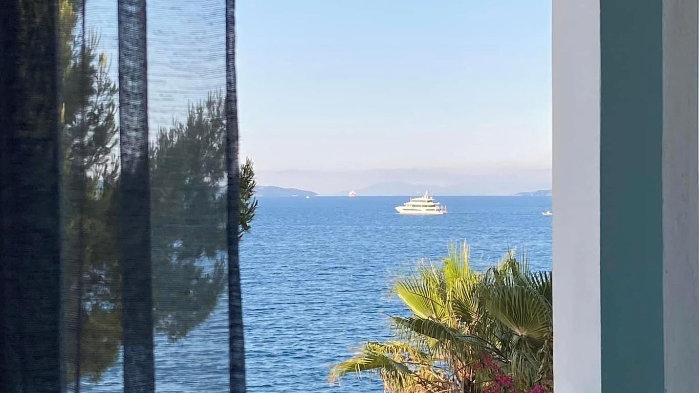 Ana fotoğraf