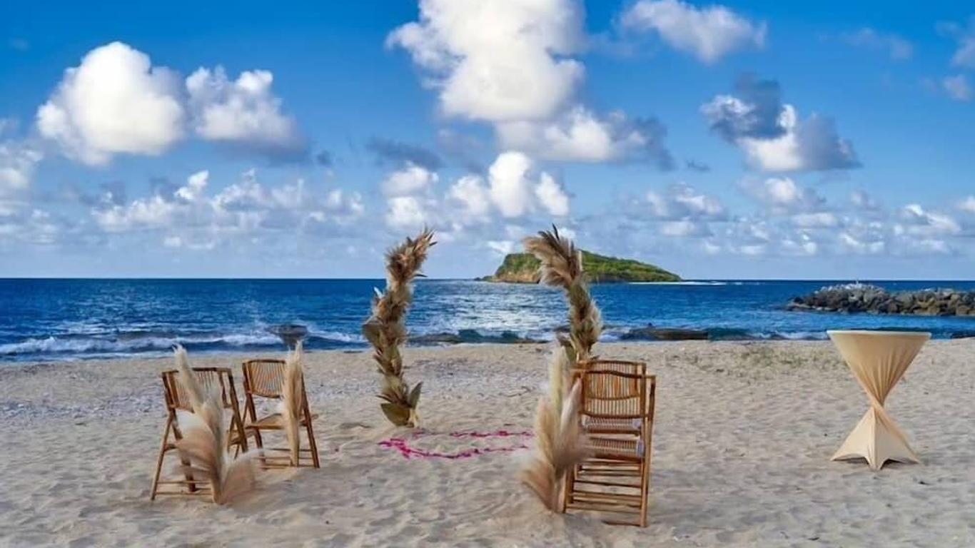 Ana fotoğraf