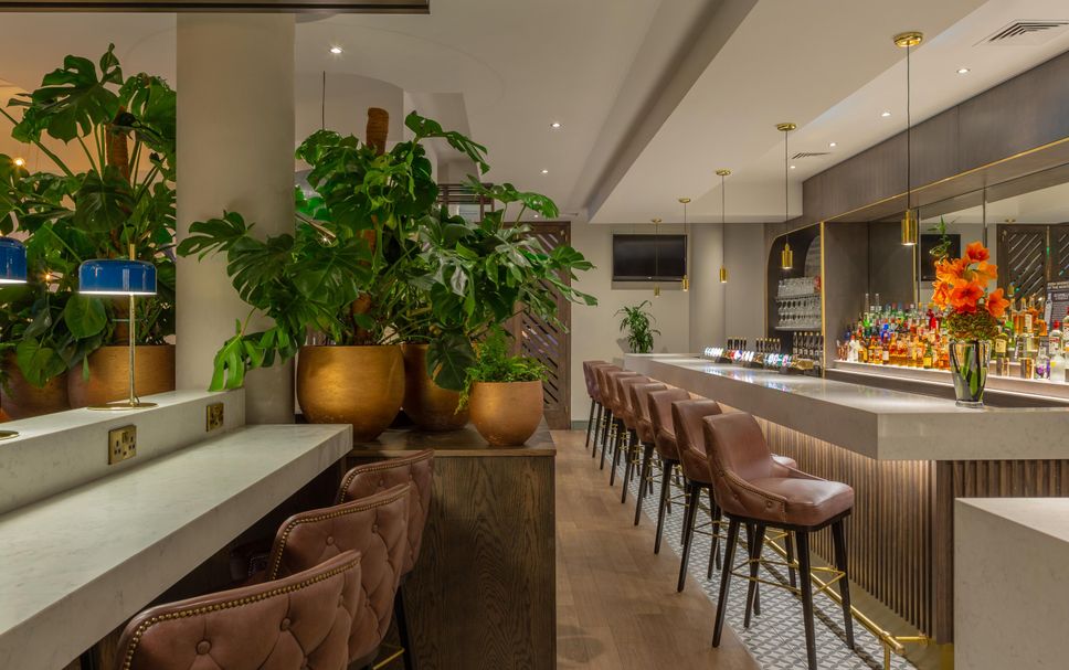 Bar Fotoğraf