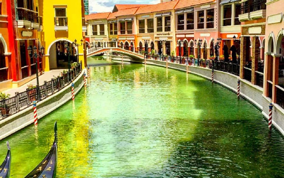 Diğer Fotoğraf