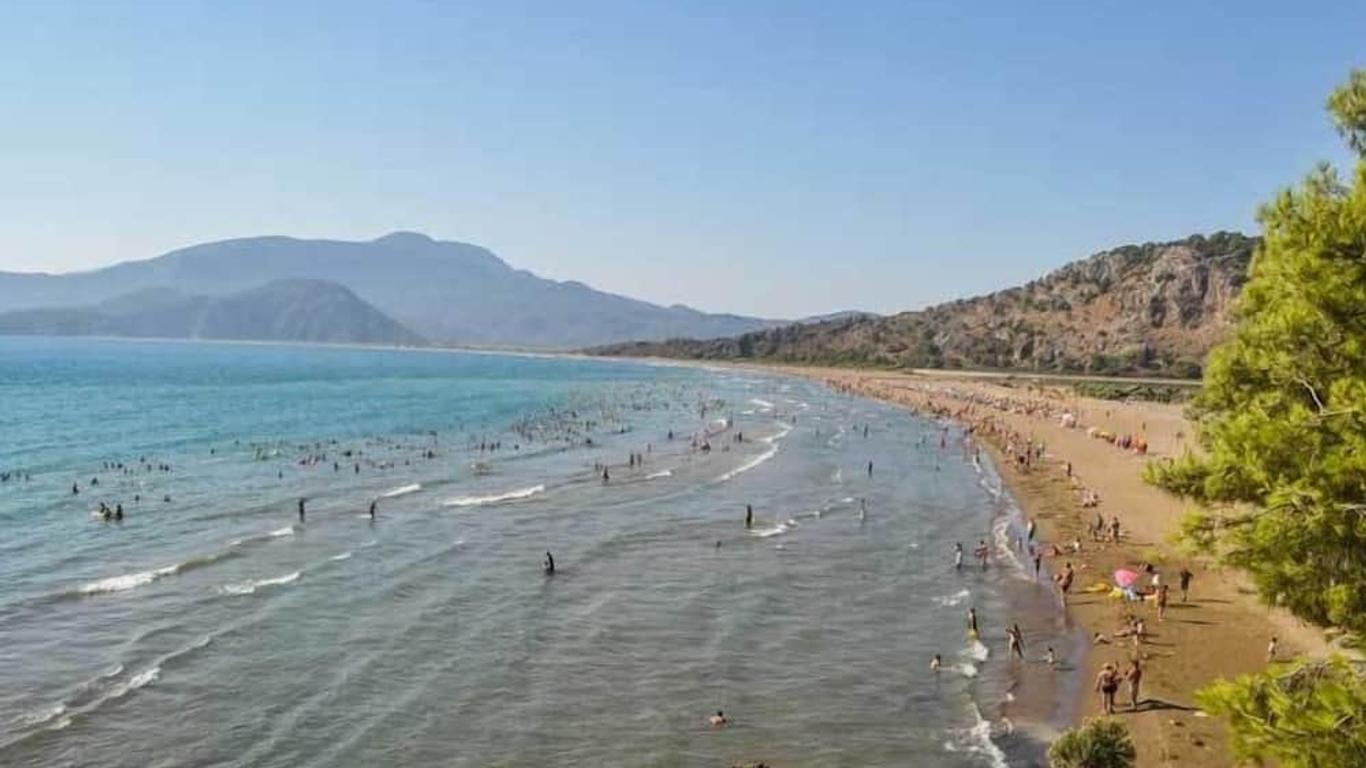 Ana fotoğraf