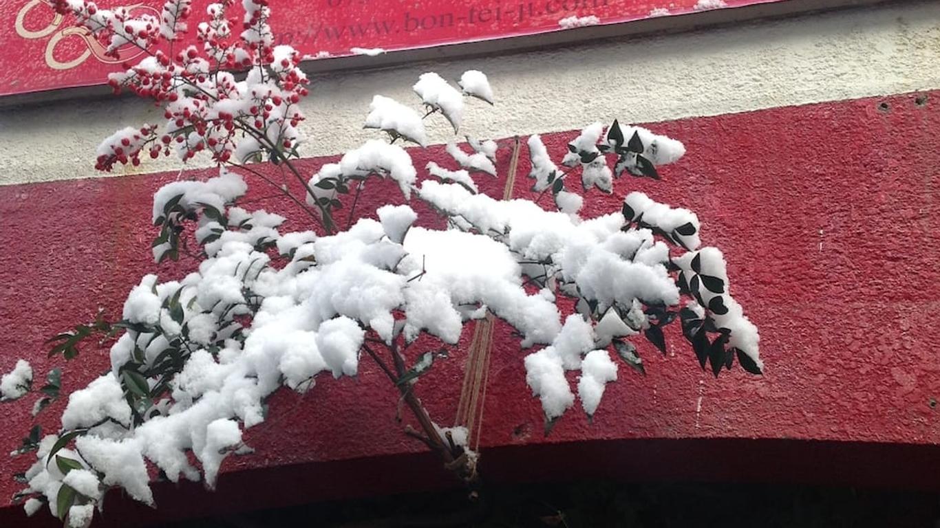 Ana fotoğraf