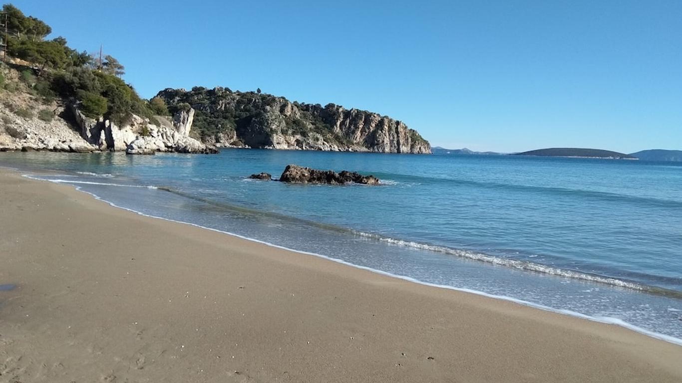 Ana fotoğraf
