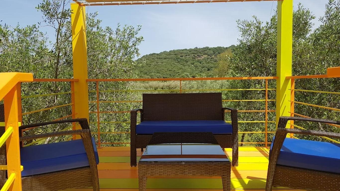 Ana fotoğraf