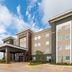Bina
