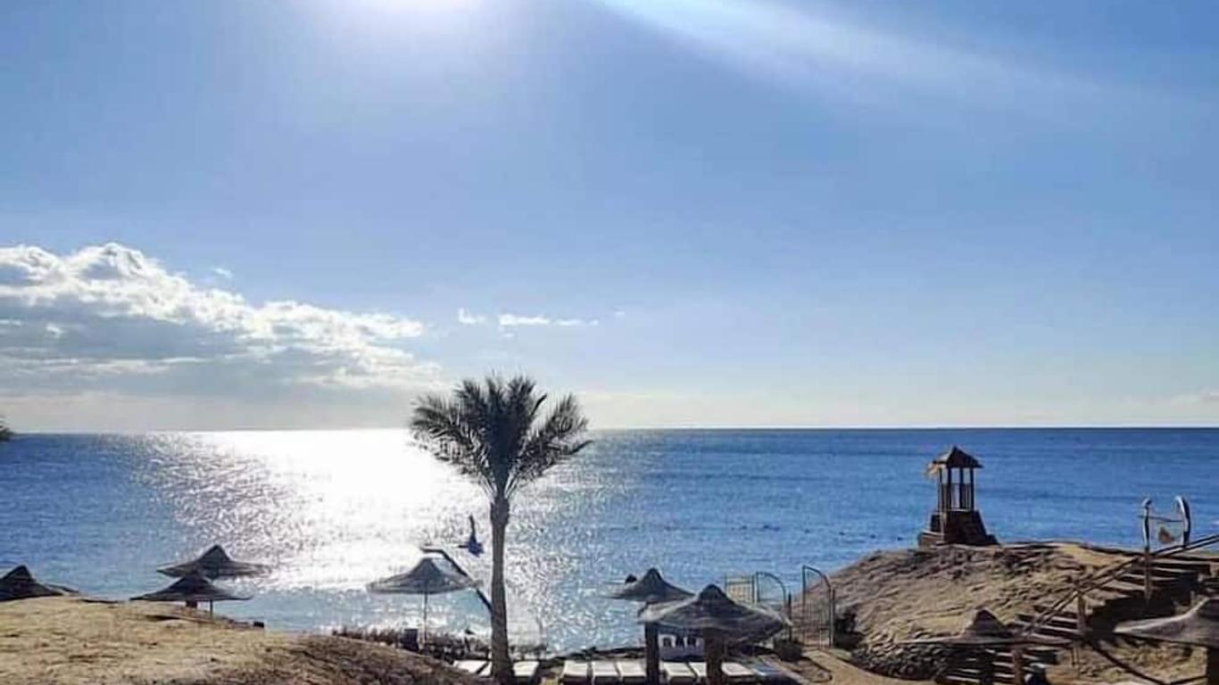 Ana fotoğraf