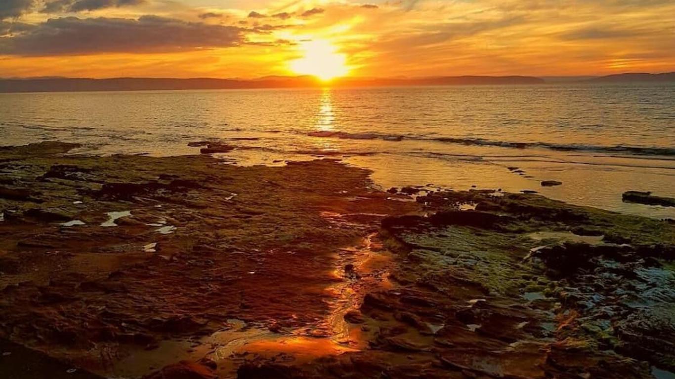 Ana fotoğraf