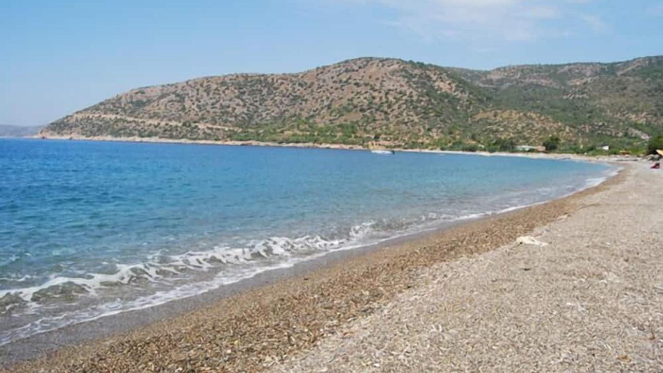 Ana fotoğraf