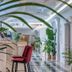 Lobi
