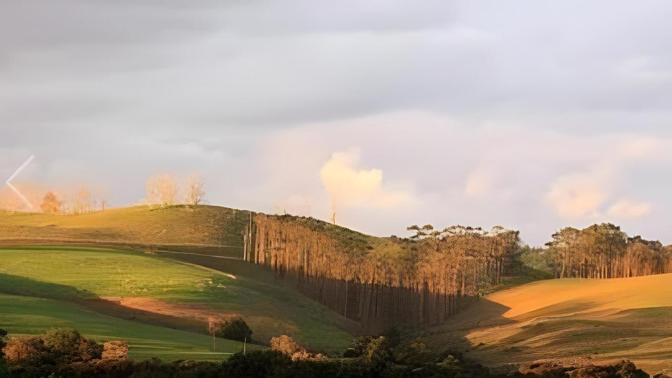 Ana fotoğraf