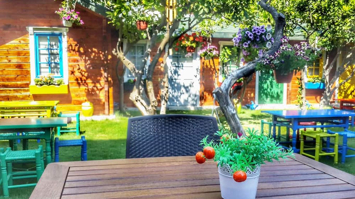 Ana fotoğraf