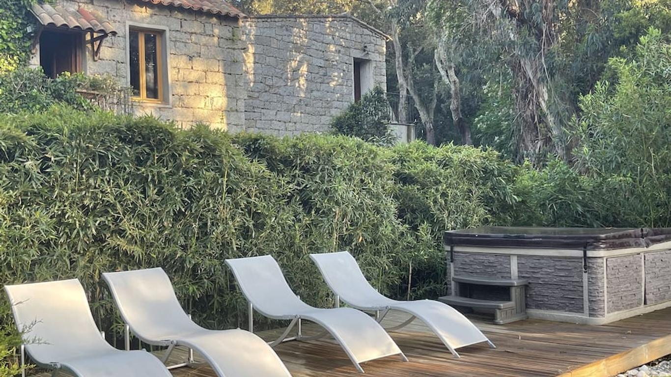 Ana fotoğraf