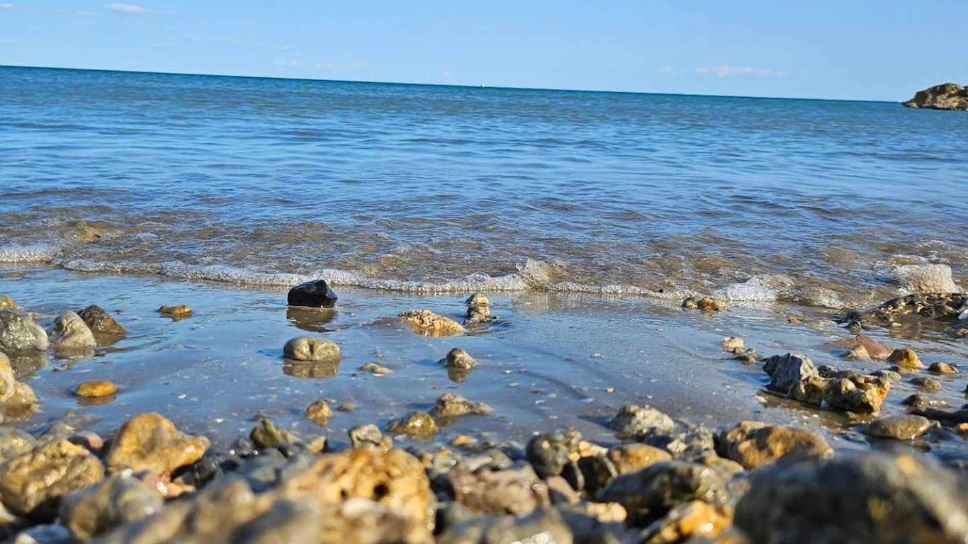 Ana fotoğraf