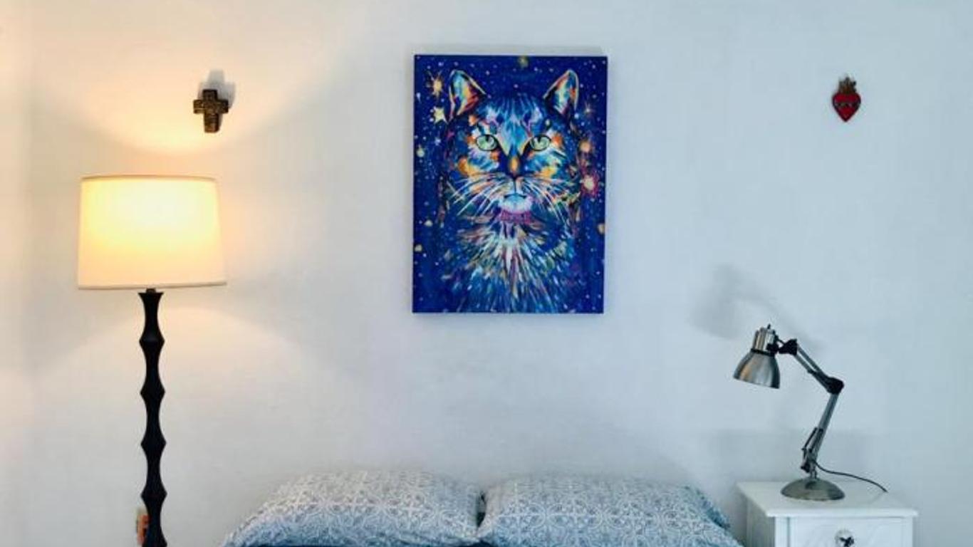 Ana fotoğraf